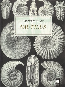 Picture of Nautilus