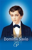 polish book : Święty Dom... - Opracowanie Zbiorowe