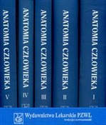 Anatomia c... - Adam Bochenek, Michał Reicher -  Polish Bookstore 
