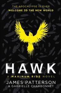 Picture of Hawk A Maximum Ride Novel