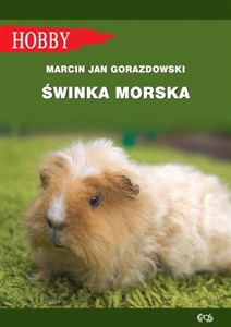 Picture of Świnka morska
