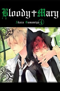 Picture of Bloody Mary #4