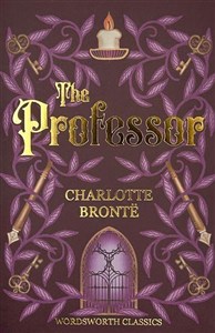 Picture of The Professor