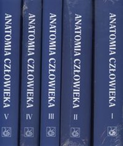 Obrazek Anatomia człowieka t.1/5