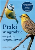 Polska książka : Ptaki w og... - Daniela Straub