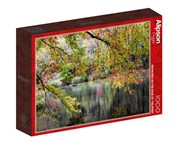 Puzzle 100... -  books in polish 