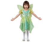 Strój Ziel... -  foreign books in polish 