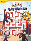 Polska książka : Labirynty.... - Anna Bańkowska-Lach (tłum.)