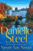 Never Say ... - Danielle Steel -  foreign books in polish 
