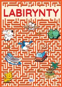 Książka : Labirynty