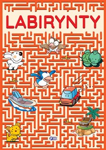 Obrazek Labirynty