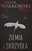 Zobacz : Ziemia i s... - Piotr Wałkówski