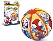 Polska książka : Piłka plaż...