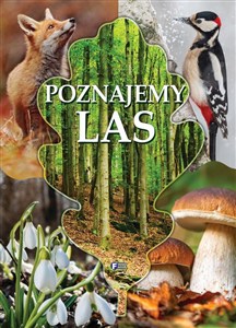 Picture of Poznajemy las