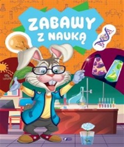 Picture of Zabawy z nauką