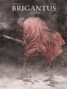 Polska książka : Brigantus ... - Huppen Yves