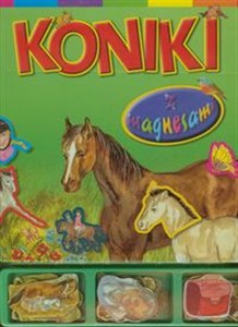 Obrazek Koniki z magnesami