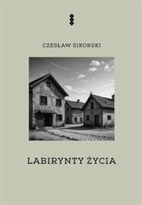 Picture of Labirynty życia