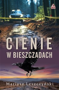 Obrazek Cienie w Bieszczadach