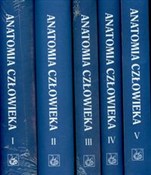 Polska książka : Anatomia c... - Adam Bochenek, Michał Reicher