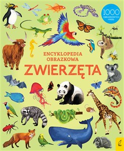 Obrazek Encyklopedia obrazkowa Zwierzęta