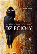 polish book : Werbel, cz... - Dorota Zawadzka, Grzegorz Zawadzki
