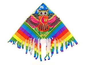 Obrazek Latawiec Sowa