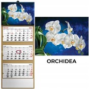 Kalendarz ... -  books from Poland