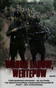 Obrazek Wśród lasów i wertepów