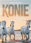 Konie Albu... - Karolina Wengerek -  books in polish 