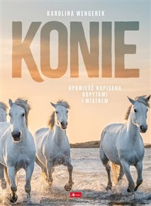 Obrazek Konie Album Opowieść napisana kopytami i wiatrem