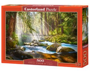 Picture of Puzzle Forest Stream of Light 500