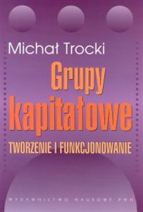Obrazek Grupy kapitałowe Tworzenie i funkcjonowanie