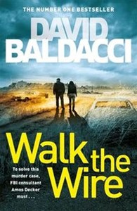 Picture of Walk the Wire