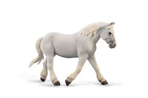 Obrazek Klacz Boulonnais maści szarej