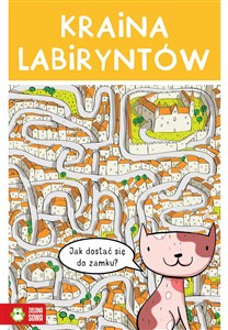 Obrazek Kraina labiryntów