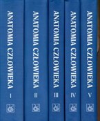 Anatomia c... - Adam Bochenek, Michał Reicher -  foreign books in polish 