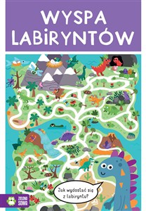 Obrazek Wyspa labiryntów