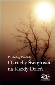 Obrazek Okruchy Świętości na każdy dzień