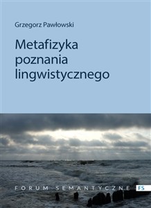 Obrazek Metafizyka poznania lingwistycznego