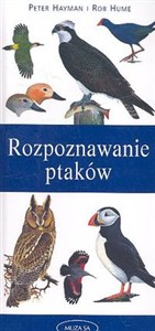 Picture of Rozpoznawanie ptaków