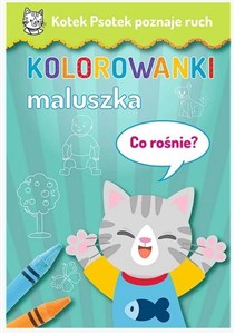 Obrazek Kotek Psotek poznaje ruch. Co rośnie?