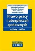 Prawo prac... - Justyna Czerniak-Swędzioł -  books from Poland