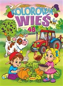 Polska książka : Kolorowa w... - Włodzimierz Kruszewski, Mariola Budek