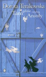 Picture of Tam gdzie spadają Anioły