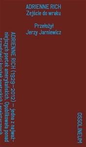 Obrazek Zejście do wraku