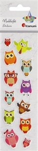 Picture of Naklejki wypukłe miękkie sowy 12szt