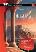 polish book : Iliada Lek... - Homer