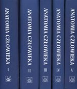Anatomia c... - Adam Bochenek, Michał Reicher - Ksiegarnia w UK