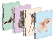 Polska książka : Kołozeszyt...